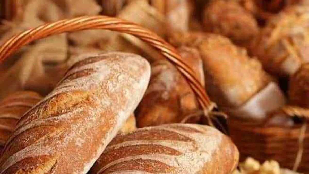 Cea mai veche pâine din lume, descoperită în Turcia