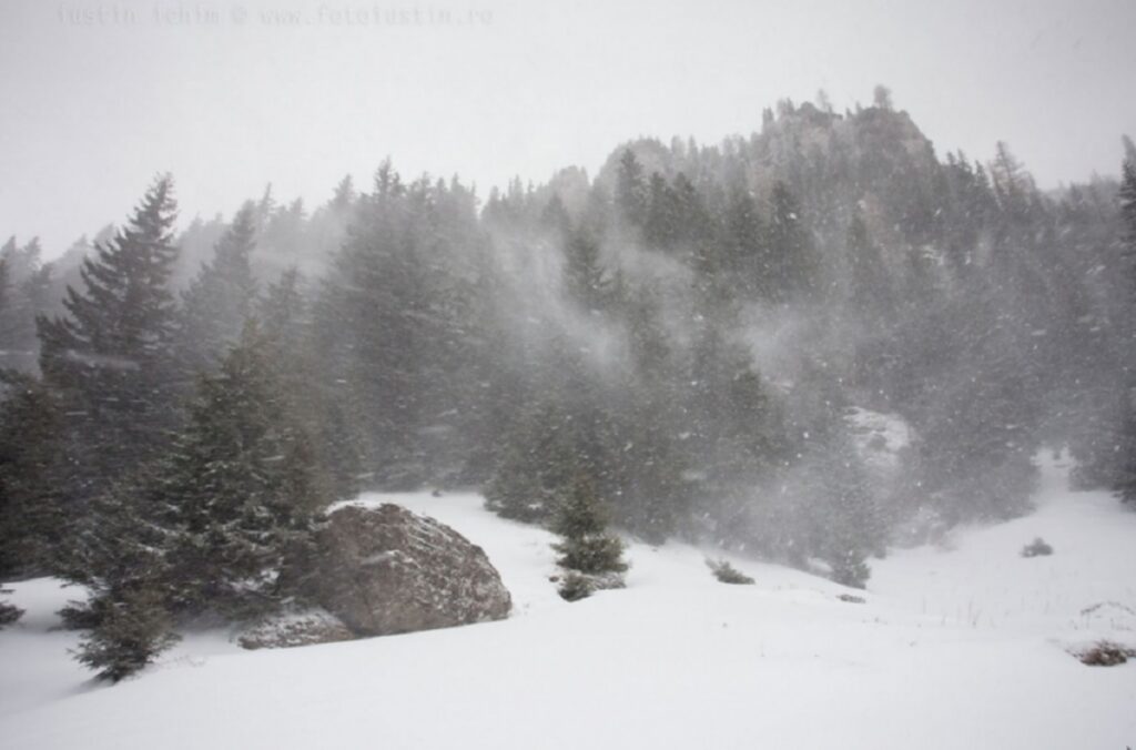 Cod GALBEN de ninsori: Rafale puternice de vânt și zăpadă de peste un metru. Peisaje spectaculoase la munte