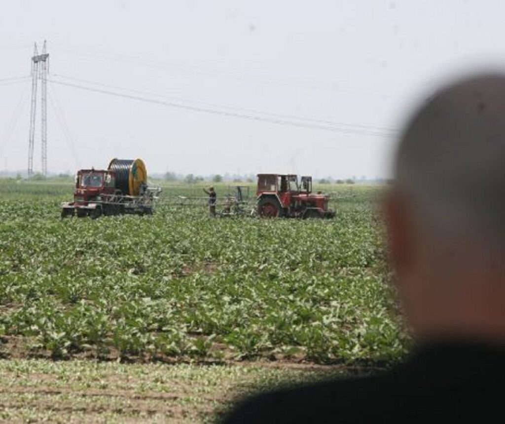 O nouă mare criză în Europa. Fermierii sunt nevoiți să renunțe la munca lor