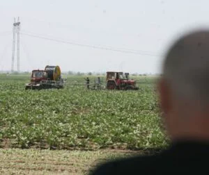 Pesticide, fermieri