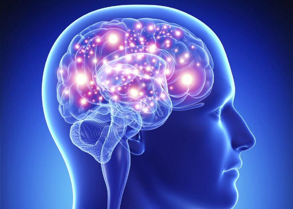 Creierul uman, una dintre cel mai mari enigme. 5 mituri foarte cunoscute, care sunt false