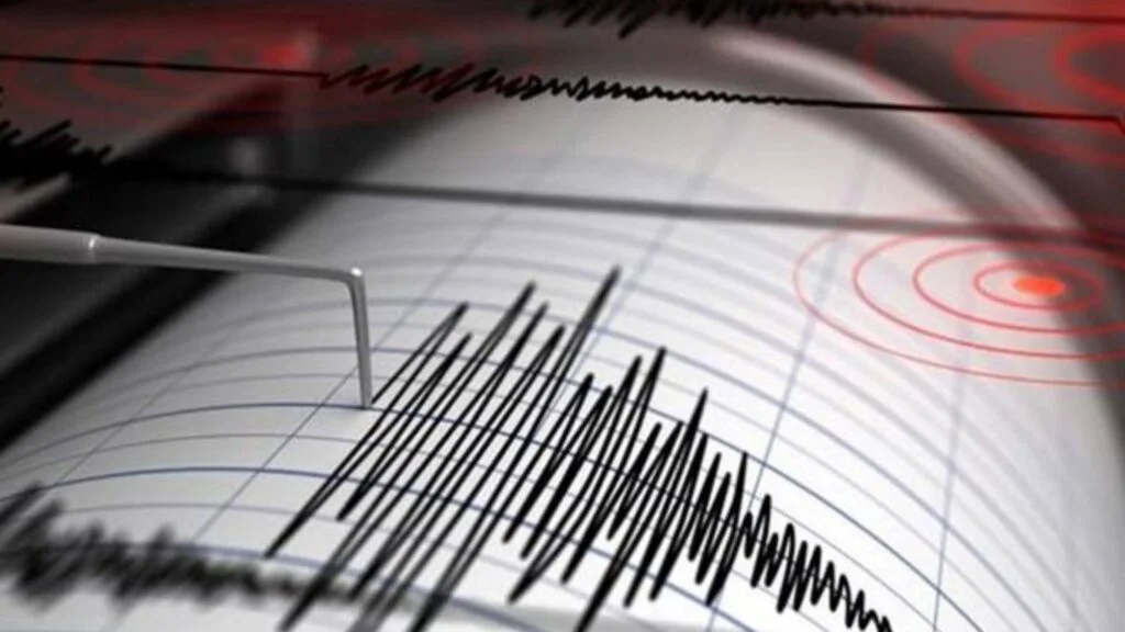Cutremur într-o zonă neobișnuită din România. Ce magnitudine a avut seismul