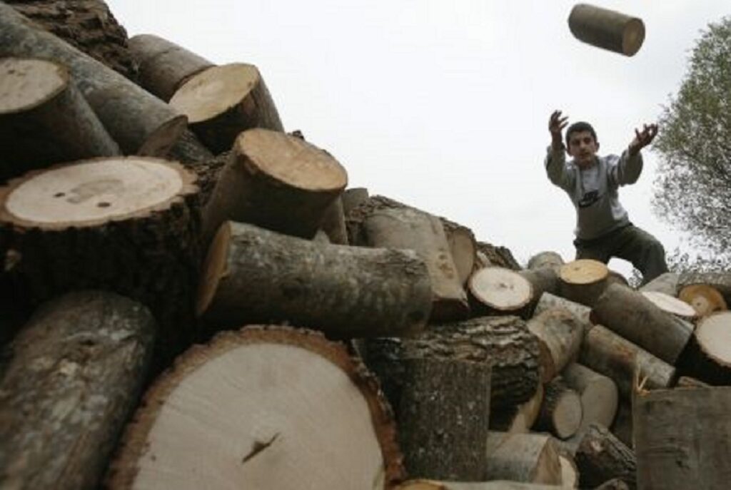 Va fi interzisă folosirea lemnului ca sursă de încălzire în România? Ce spune ministrul Tanczos Barna