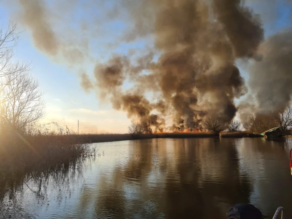 Delta Neajlovului, arsă pe 60 de hectare. Pompierii s-au chinuit să intervină