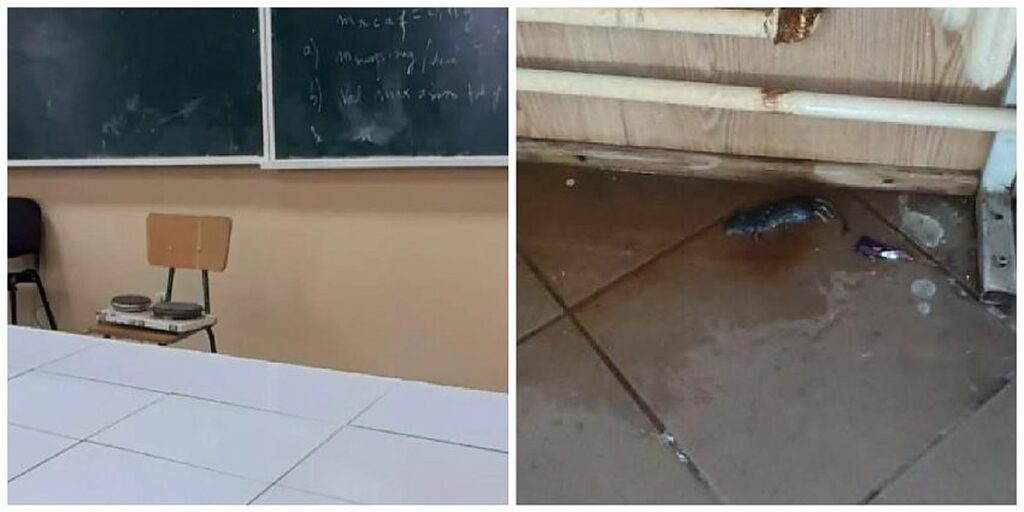 EXCLUSIV Șoareci pe holurile clădirii, frig și mirosuri grele: Colegiul Tehnic din Adjud riscă o anchetă severă a Corpului de Control. În ce condiții învață elevii VIDEO