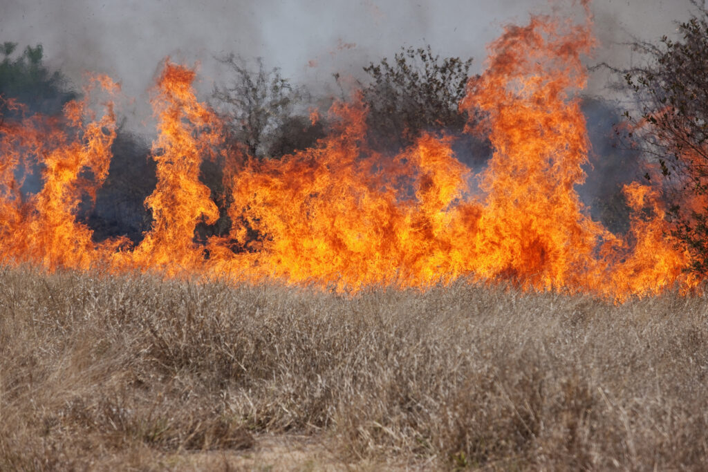 Incendii de proporții în România. Canicula înrăutățește situația. Anunțul făcut de Raed Arafat