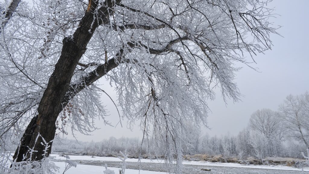 România, lovită de un val de aer polar. Meteorologii au anunțat cum va fi vremea de Crăciun