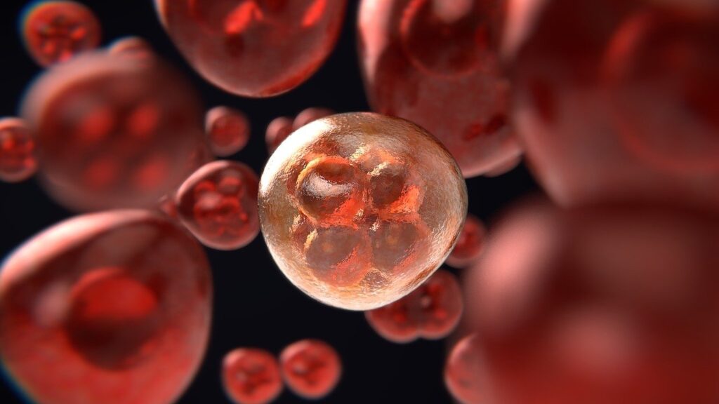 S-a descoperit o nouă terapie pentru leucemia limfoblastică acută, cel mai frecvent cancer la copii