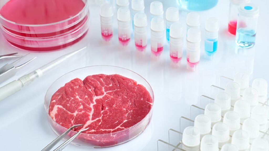 Alimentele sintetice, interzise. Fără carne falsă în magazine
