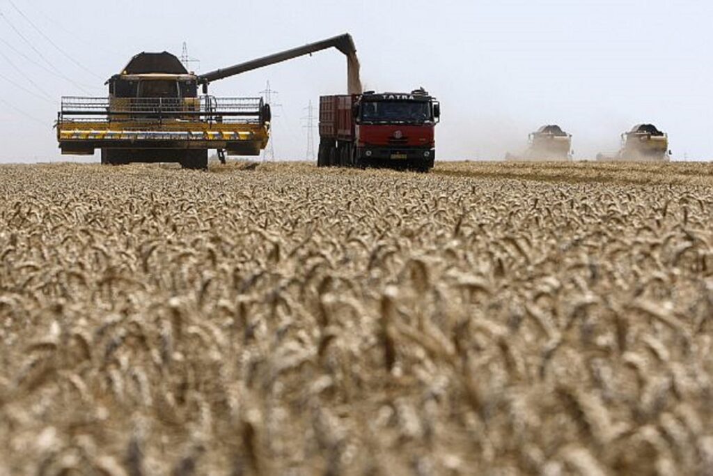 PSD cere suspendarea importurilor de cereale din Ucraina. Bogdan Aurescu, pus să negocieze un acord după modelul polonez