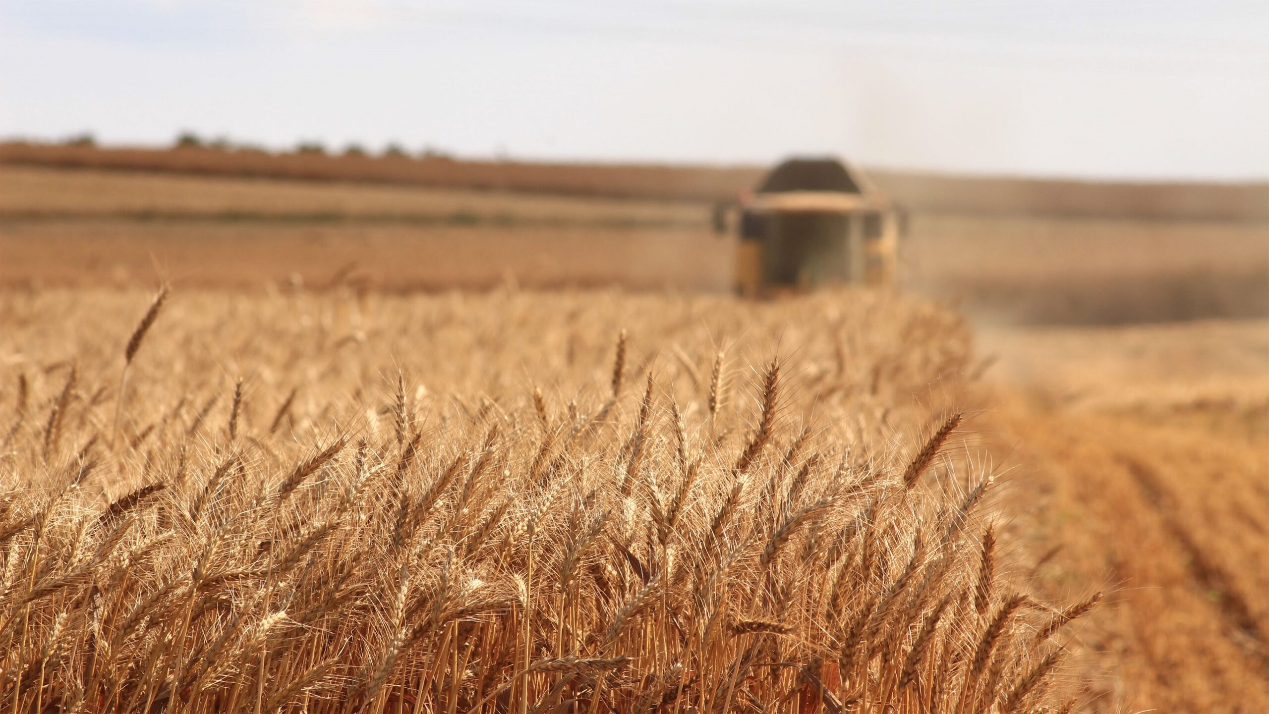 UE pune capăt interdicției de import pentru cerealele ucrainene în țările învecinate