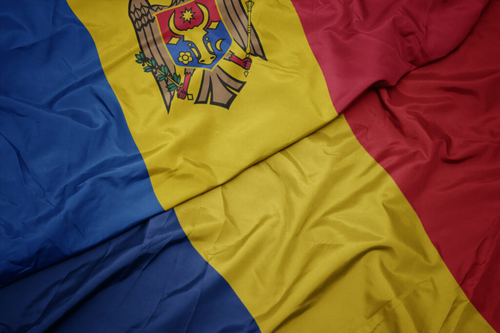 PUSL salută o posibilă unire a României cu Republica Moldova. Lavinia Șandru: „Sângele apă nu se face”