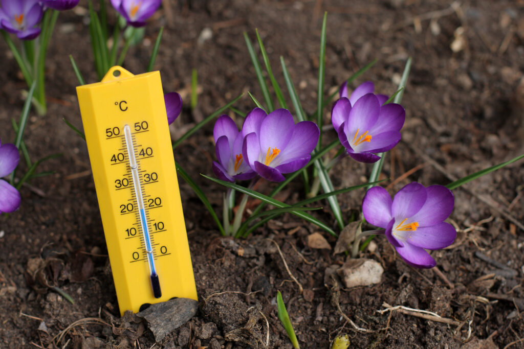 Vremea de Florii și Paște în toată țara. Unde vor fi temperaturi de -4 grade Celsius