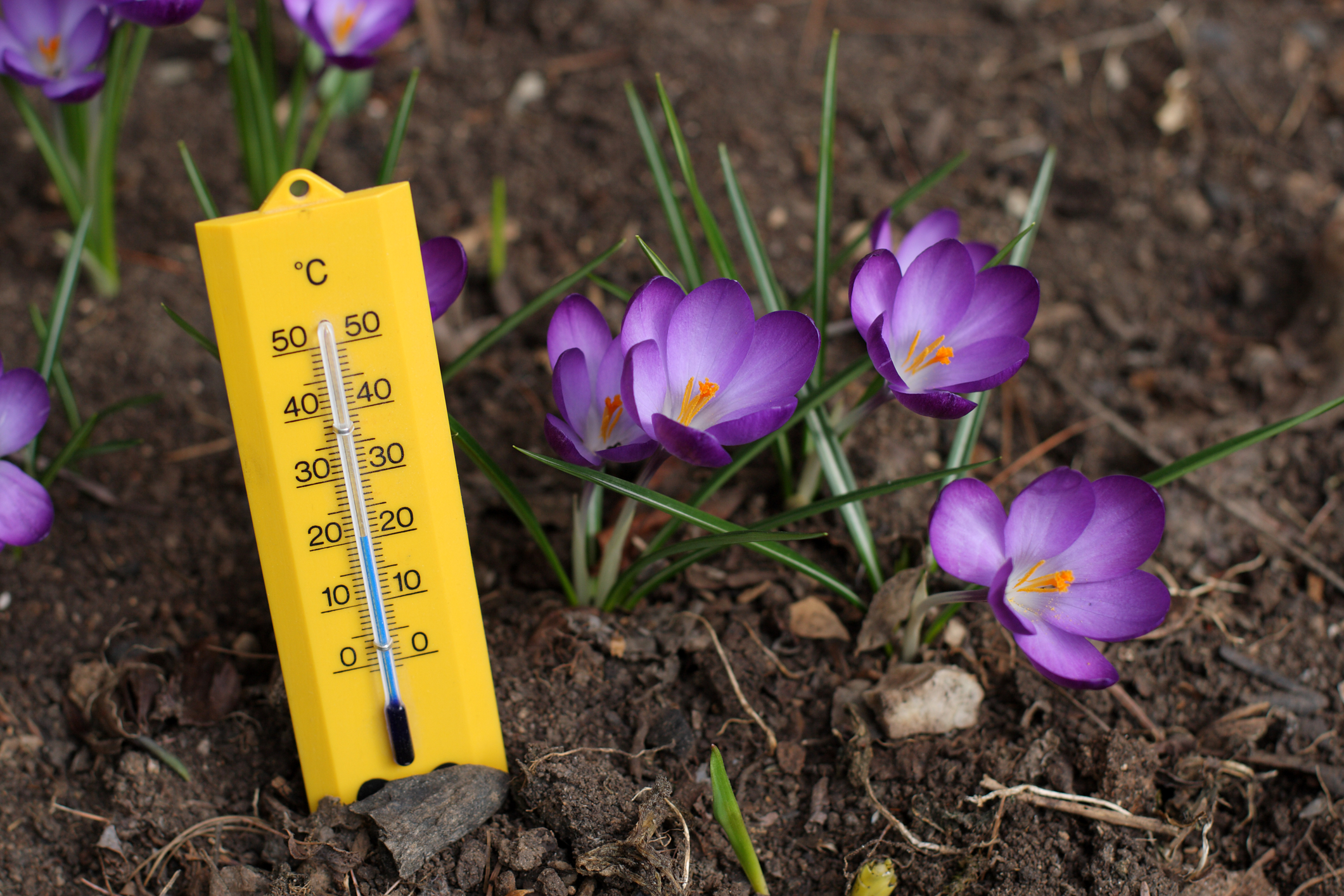 Vremea de Florii și Paște în toată țara! Surprizele sunt de proporții. Unde vor fi temperaturi de -4 grade Celsius
