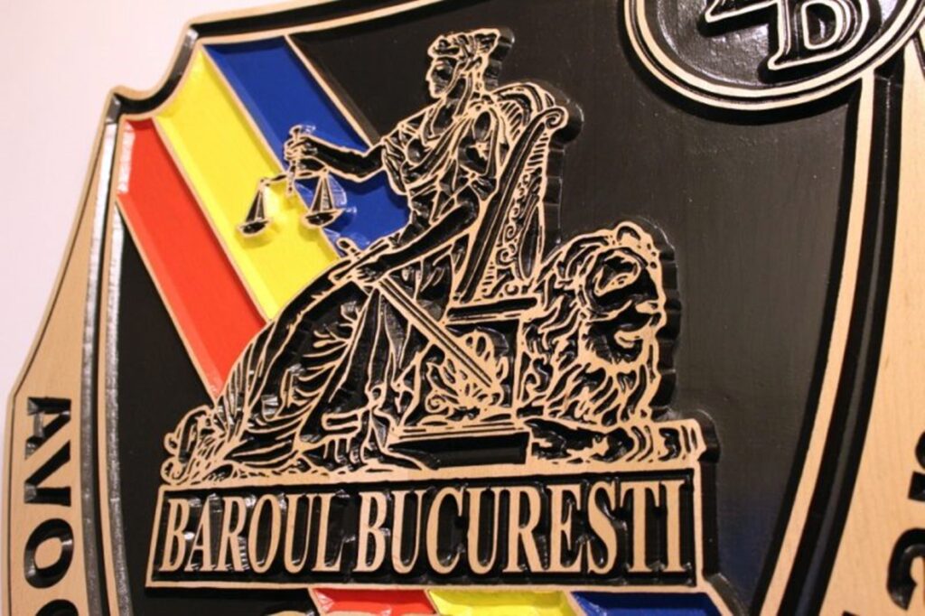 Baroul București va organiza cursuri speciale în școlile din Capitală: ”Fii cool, fără să fii penal”