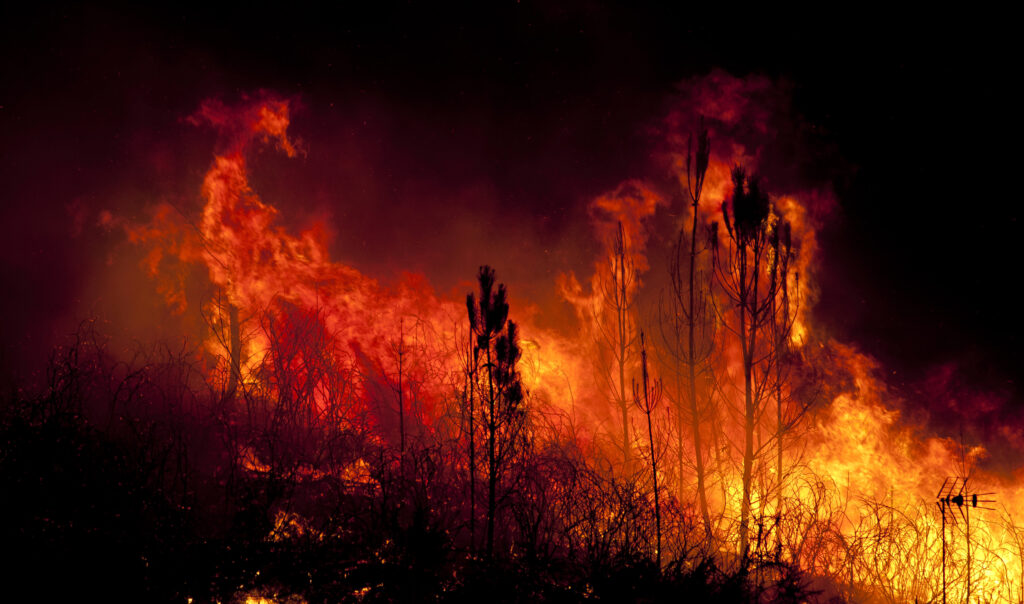 Focul- noua icoană a Rusiei. Peste 80 de regiuni sunt mistuite de flăcări. Suprafața incendiilor de pădure s-a dublat