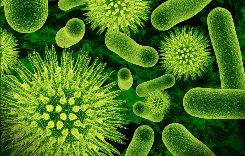 Infecțiile fungice se răspândesc cu repeziciune. OMS susține că doar 19 agenți patogeni reprezintă o amenințare