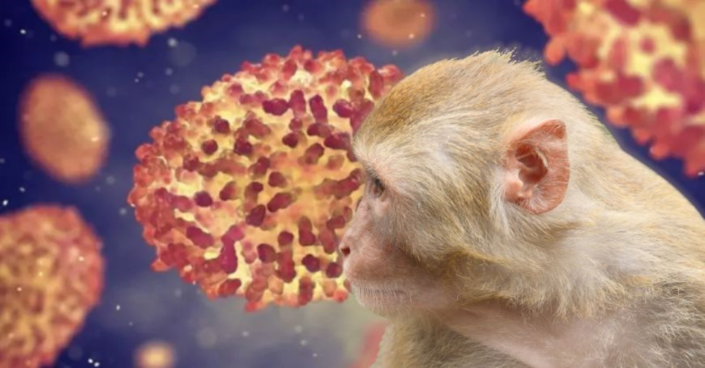 Experții în sănătate au aflat răspunsul. Cum poate fi ținută sub control variola maimuței