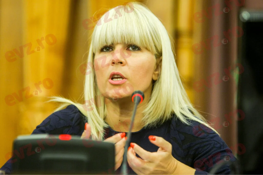 Elena Udrea i-a sensibilizat pe judecători și procurori. Fostul ministru a obținut o victorie importantă în instanță