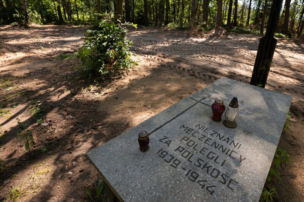 Descoperire macabră în Polonia. Au fost găsite rămășițele a 8000 de oameni uciși în timpul ocupației naziste