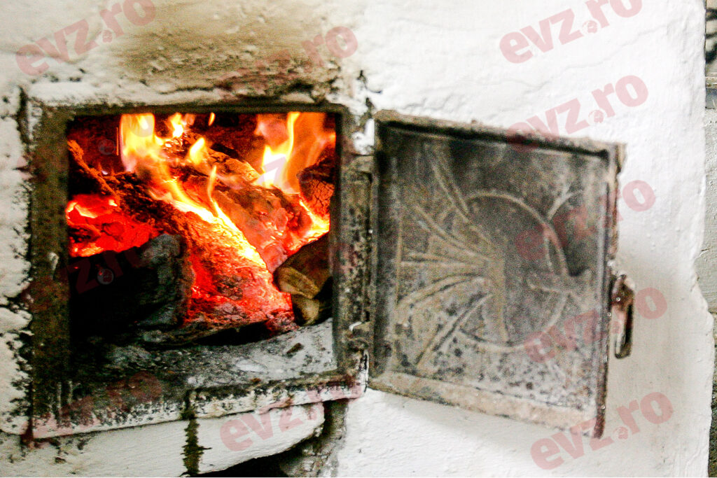 Președintele Asociației Industriei Lemnului acuză că Romsilva crește artificial prețul lemnului de foc