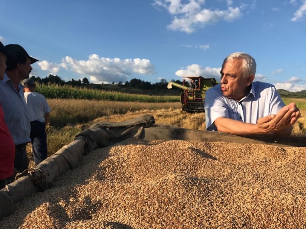 Petre Daea, ministrul Agriculturii: „Avem pâine, putem asigura nevoile ţării până anul viitor. Avem şi disponibiliăţi pentru export"
