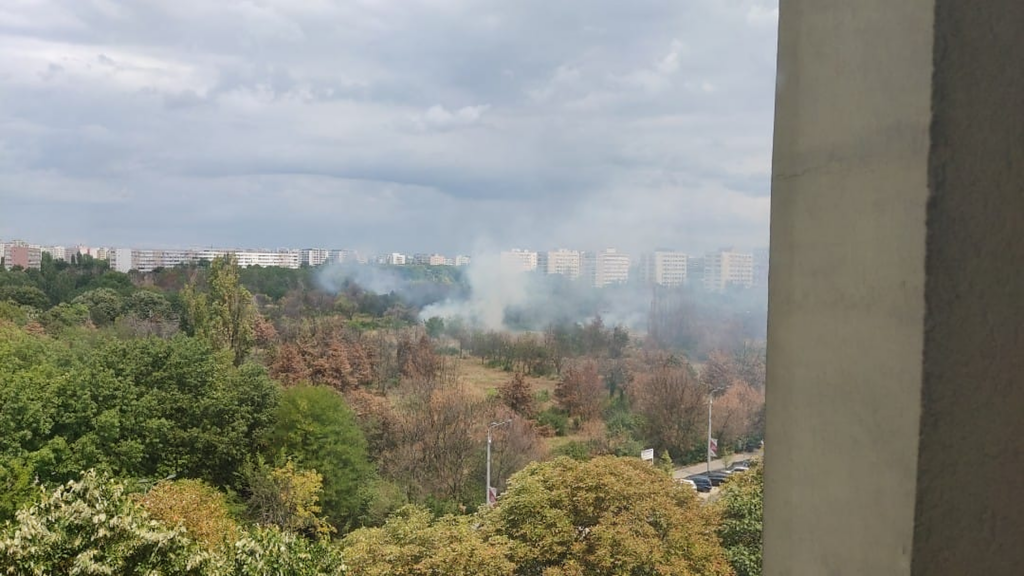 Incendiu puternic izbucnit în parcul IOR din Capitală. Au ars aproximativ 1.200 de metri pătrați de vegetație