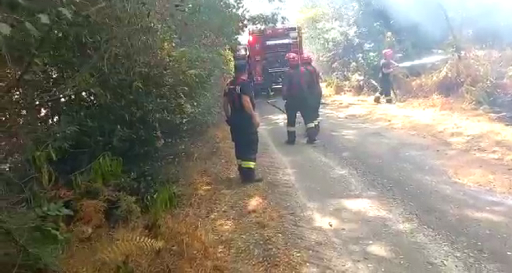 Pompierii români trimiși să se luptă cu flăcările din Franța au încheiat prima misiune. Video