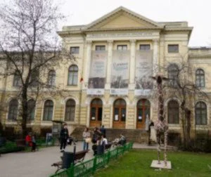 Noaptea Muzeelor 2025 la Antipa. Programul expoziţiilor