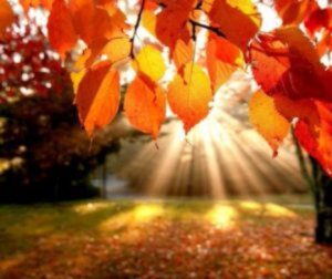 Prognoza meteo, 26 septembrie. Unde vor fi temperaturi de vară
