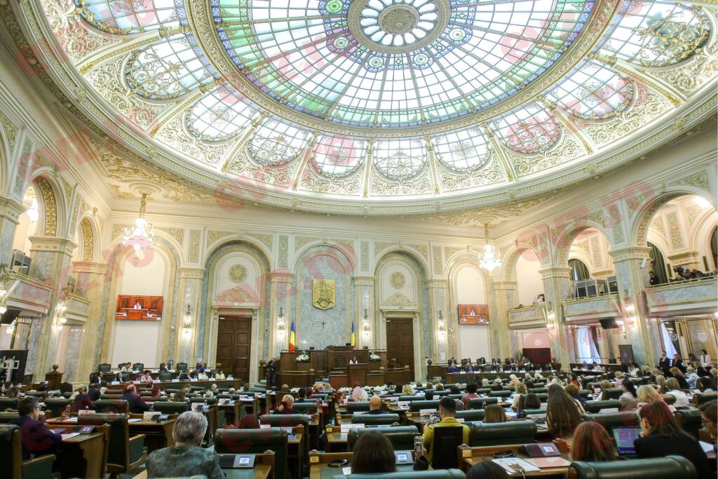 Senatul alege un nou președinte. Nicolae Ciucă este propunerea PNL. Alina Gorghiu ar putea ocupa o altă funcție importantă