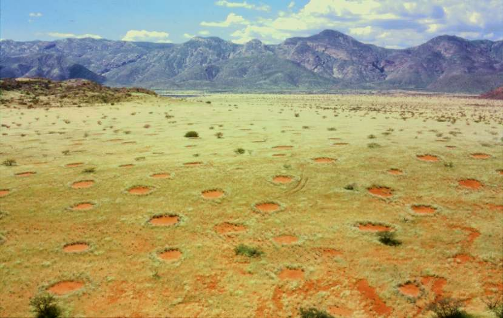 Misterul „cercurilor de zâne” din deșertul Namib, fenomen unic în lume,a fost dezlegat. Ce spun cercetătorii