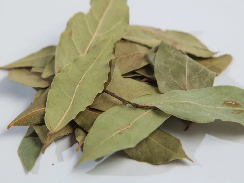 Beneficiile neștiute ale frunzelor de dafin. Ceaiul face minuni pentru sănătate