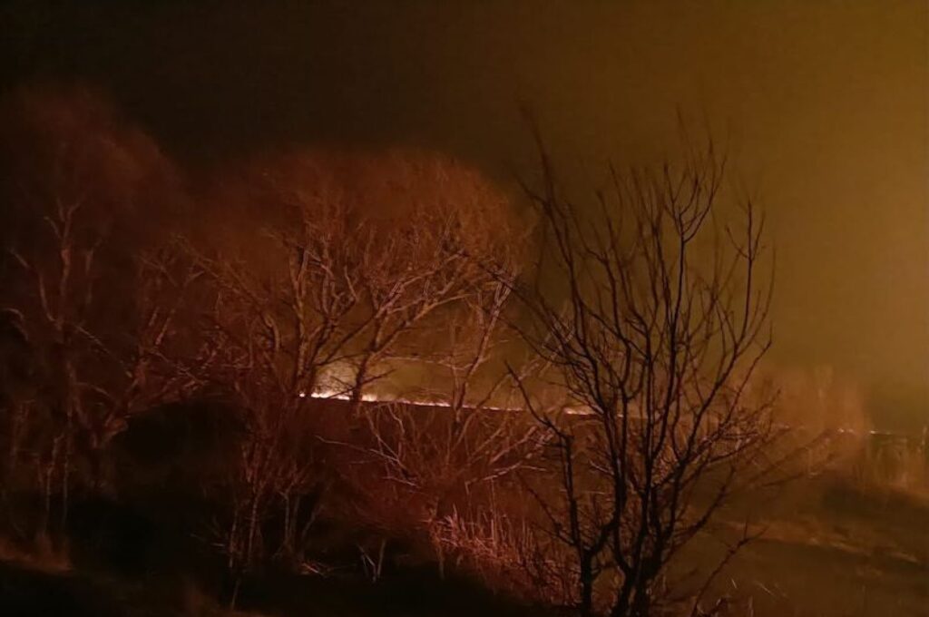 Incendiu în Delta Dunării. Aproximativ 150 de hectare de vegetație au luat foc în apropiere de Sulina. Video