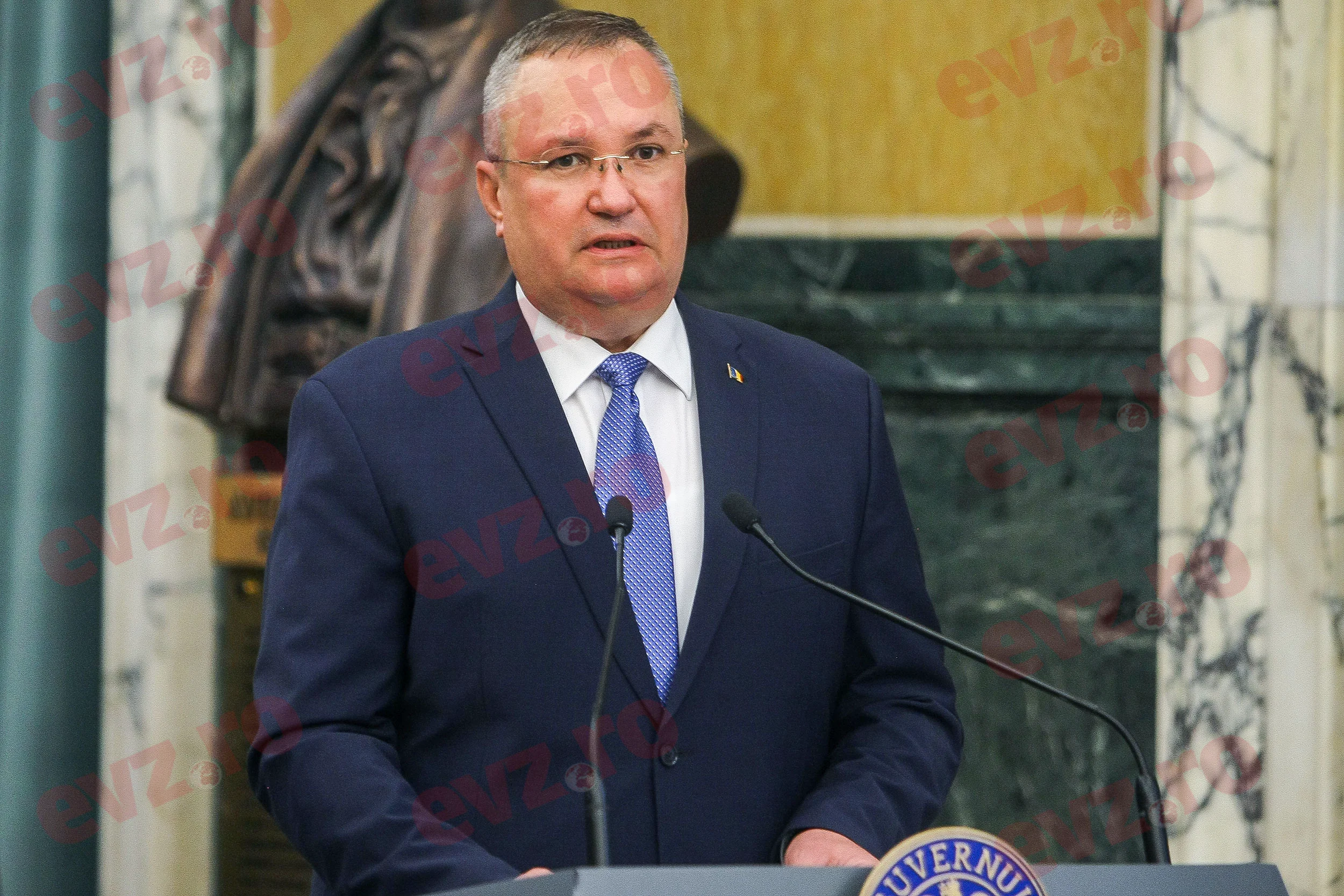 Nicolae Ciucă, senat, lider, PNL