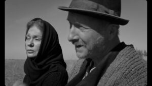 Filmul Moromeții 3. Ce surprize a pregătit Stere Gulea pentru cineaști
