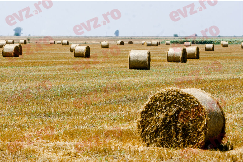 100 de milioane de euro în plus pentru fermierii afectați de războiul din Ucraina