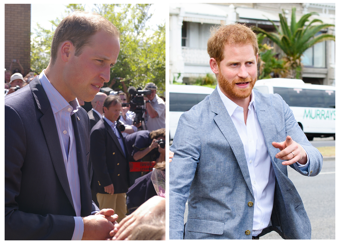 Prinții Harry si William