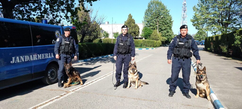 Trei câini jandarmi s-au pensionat după 13 ani de activitate. „Vă mulțumim pentru tot ce ați făcut pentru noi… pentru oameni!”