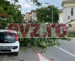 Bucureștenii, în pericol din cauza furtunii. O femeie a fost rănită de un copac căzut. Victima a fost transportată la spital, conștientă