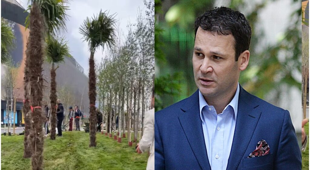 Negoiță, despre palmierii de la Unirii: În capul lui Nicușor Dan a fost prostie! El, care e cu ONG-urile, cu spațiile verzi...