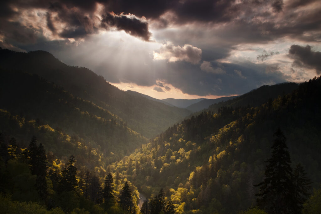 Colțul de Rai din inima României. Turiști din întreaga Europă vin să vadă minunea naturii