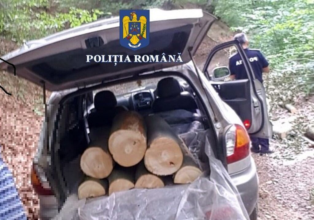 O femeie din Albac s-a luptat în instanță cu mafia lemnului. Judecătorii au stabilit că polițiștii au dat dovadă de părtinire