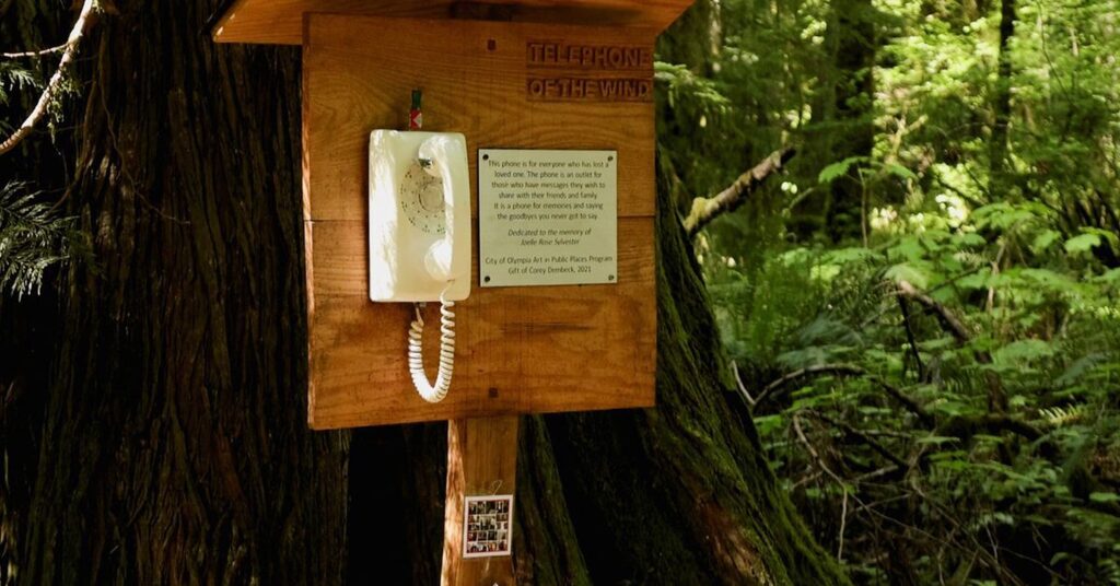 Telefonul la care oamenii pot „vorbi” cu morții. Este instalat într-o pădure și nu este conectat la rețea. Foto