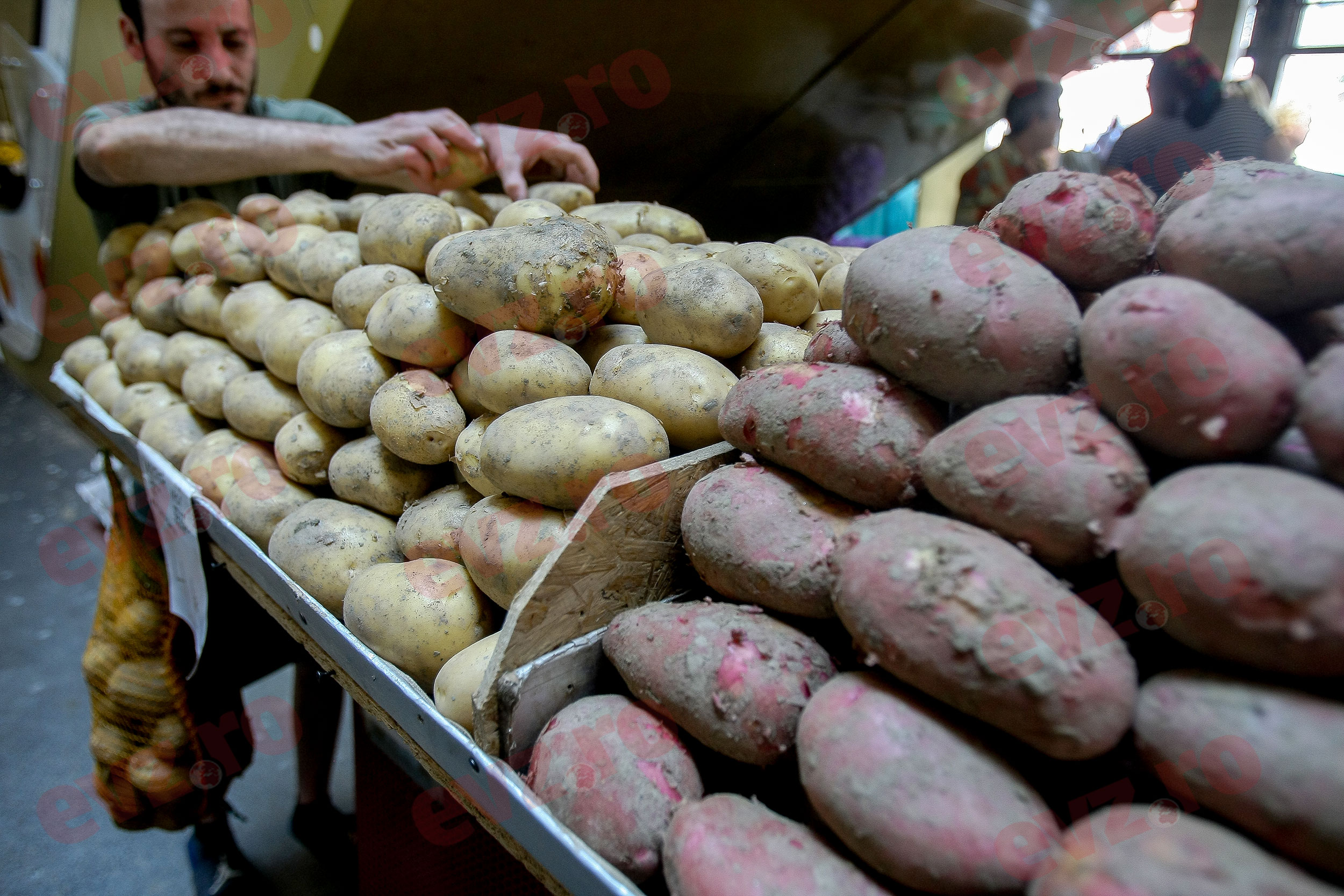 Diferențele dintre cartofii românești și cei din import. Cum identifici soiurile românești