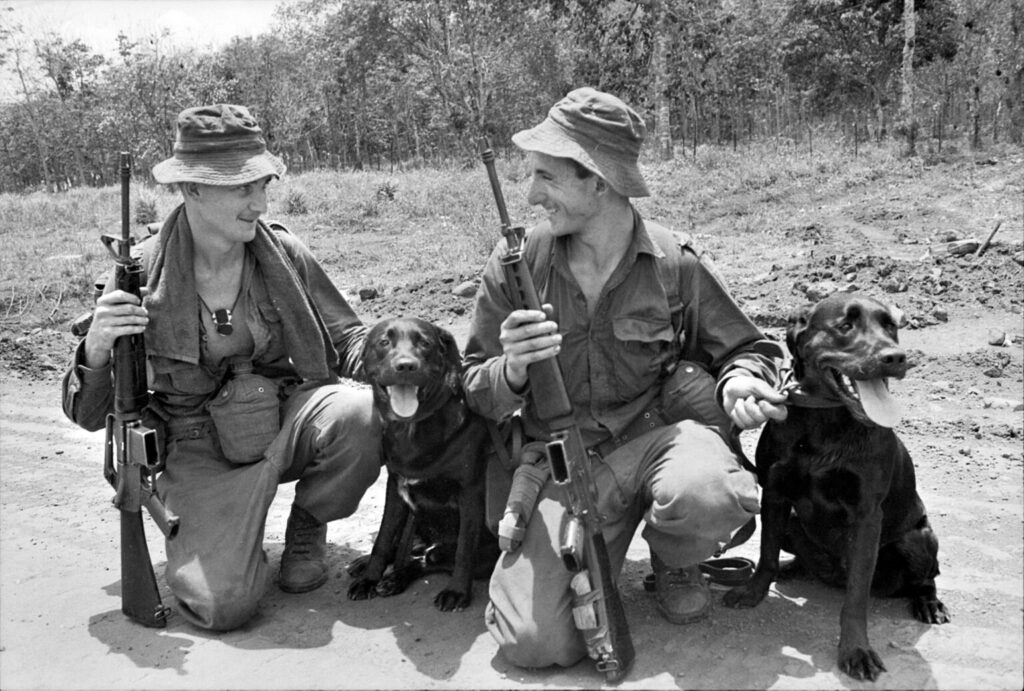 Câinii de război în conflictul din Vietnam. Povestea lui Nemo, câinele care a salvat o unitate militară