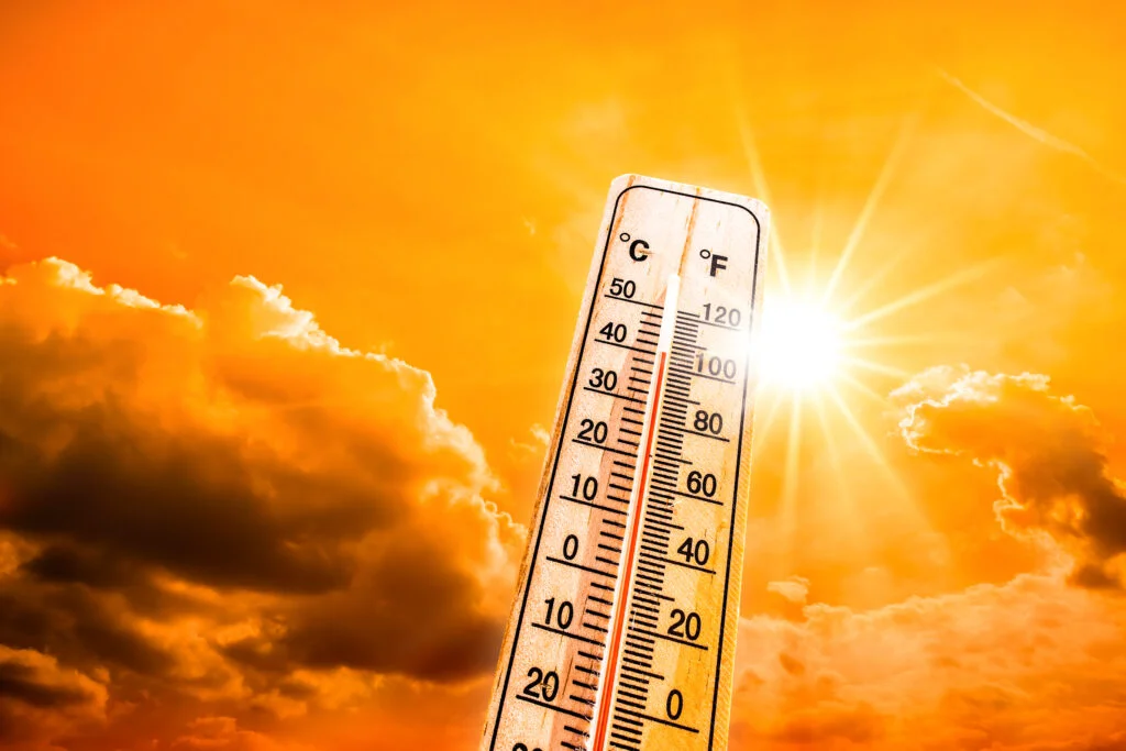 Vremea deosebit de caldă aduce efecte negative. Specia care susține viața pe Pământ este în pericol