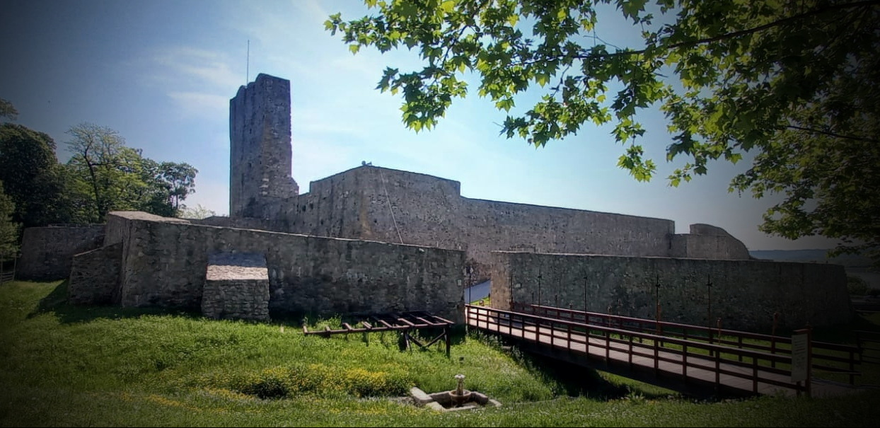 Cetatea Severinului