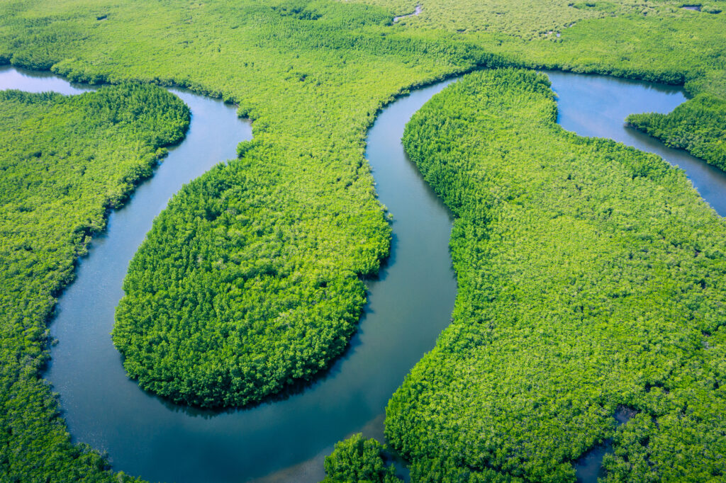 Brazilia le cere statelor bogate să contribuie cu bani pentru salvarea Amazonului