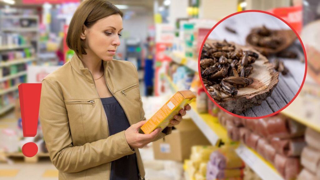 Alimentele cu conținut de insecte ajung în magazine. Ce trebuie să știi
